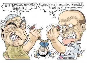 1470311_10151795256312123_554134239_n