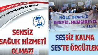 ebehemsireafis 1-horz